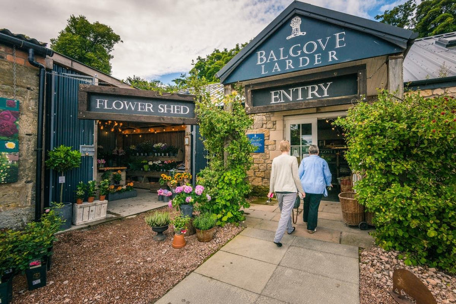 Balgove Larder farm shop near St Andrews, a Modern Standard Coffee stockist