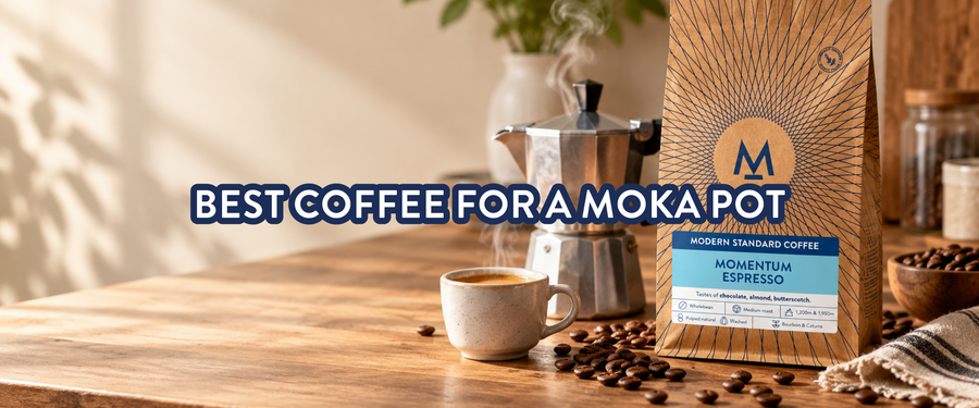 Best Coffee for a Moka Pot: A Simple Buying and Brewing Guide