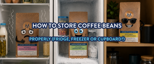 How to Store Coffee Beans Properly (Fridge, Freezer or Cupboard?)