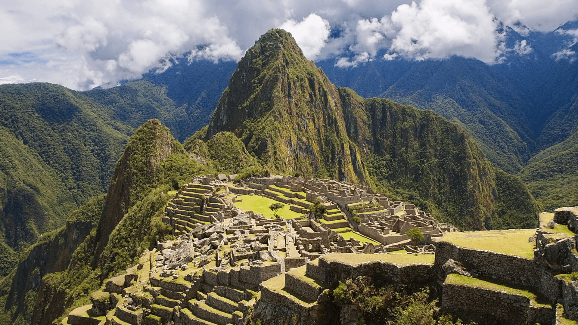 Speciality Coffee Origins: Peru