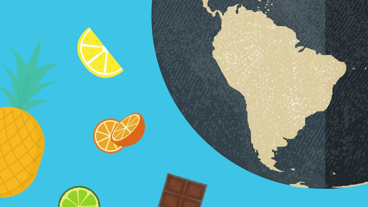 Infographic: Pocket Guide To Speciality Coffee Origin Flavour Notes