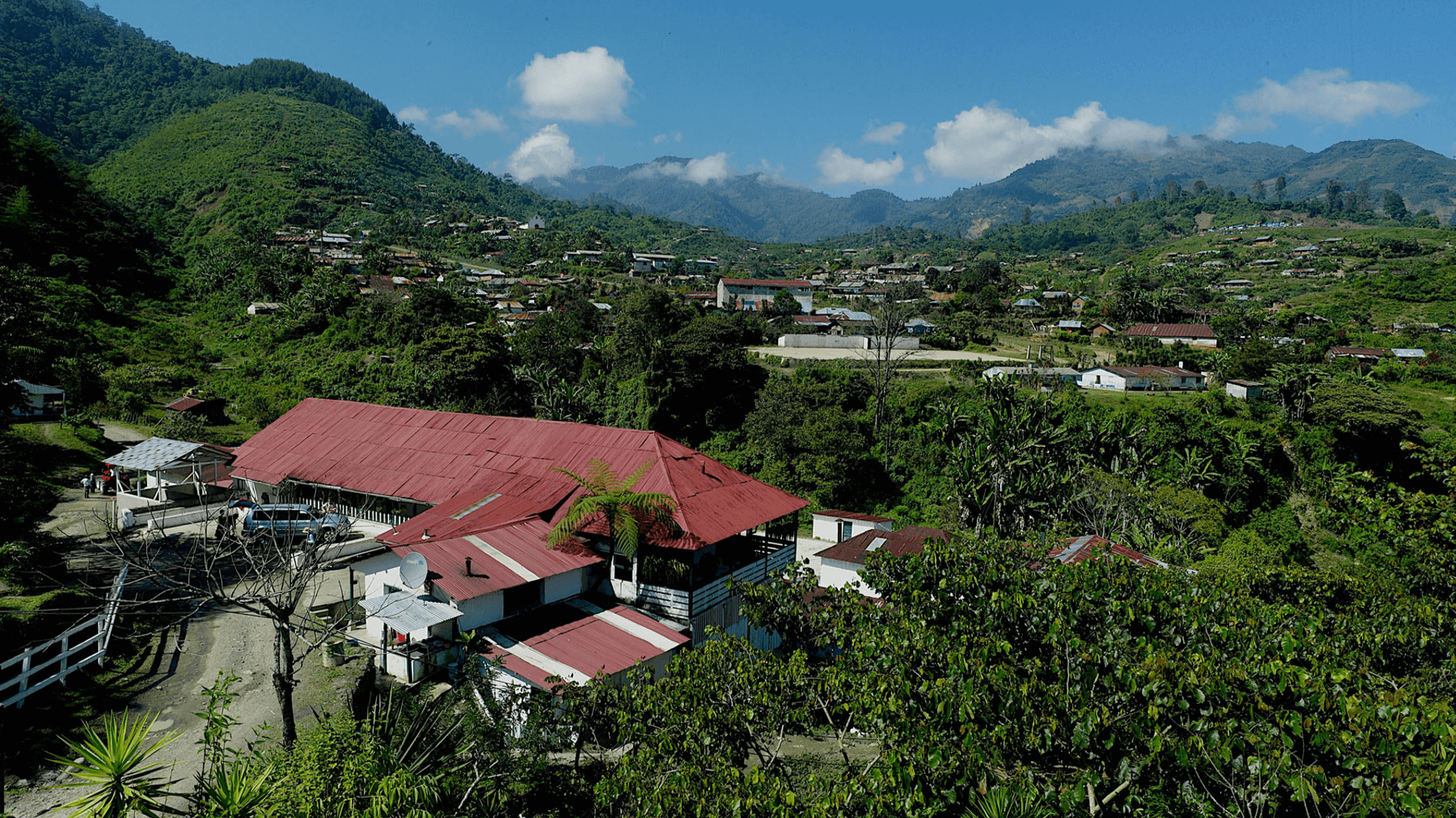 Specialty Coffee Origin In Focus: Guatemala