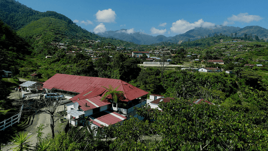 Specialty Coffee Origin In Focus: Guatemala