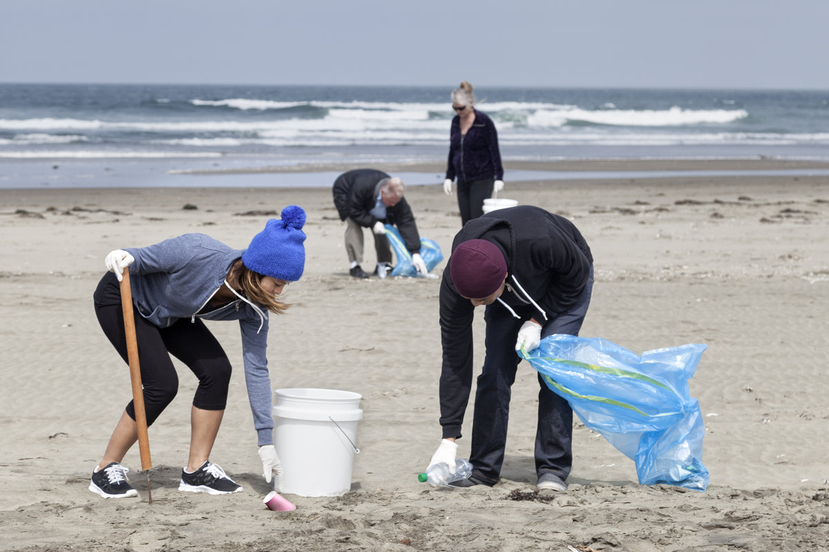 The Modern Standard team on a beach clean at Elie in Fife