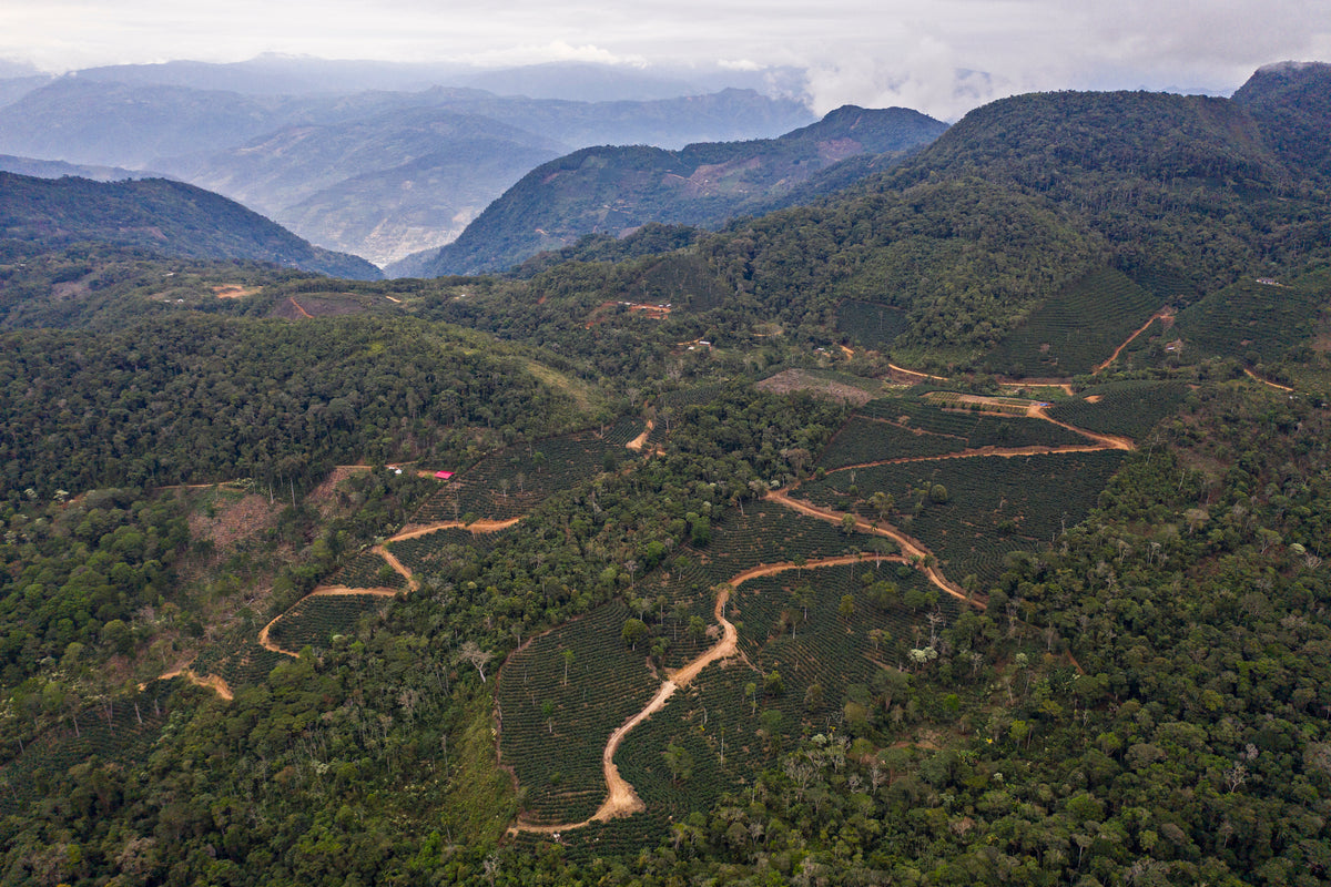 Steep forested mountains with narrow roads zigzagging up the slopes