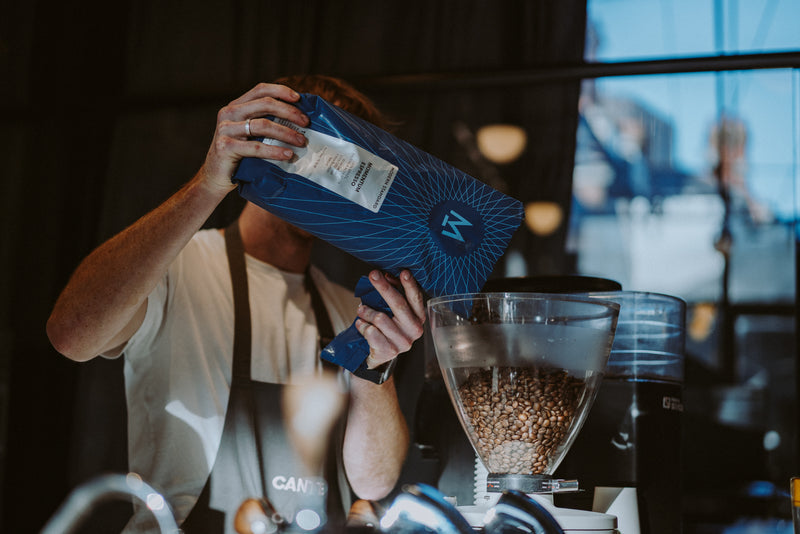 Modern Standard Coffee beans pouring into a grinder at the Channel 4 coffee bar