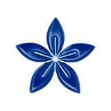 Coffee Flower
