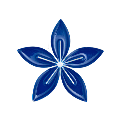 Coffee Flower