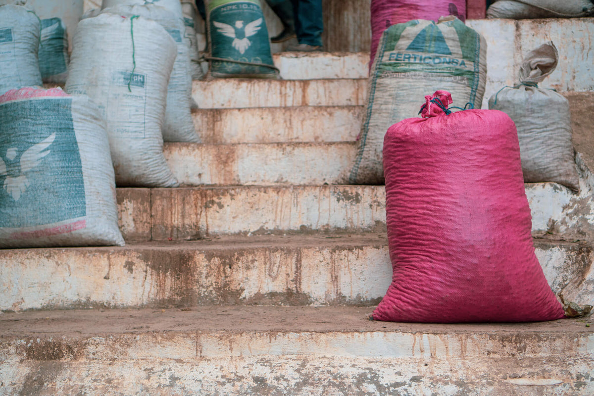 Sacks of coffee stacked on concrete steps, with a pink sack tied at the top in front