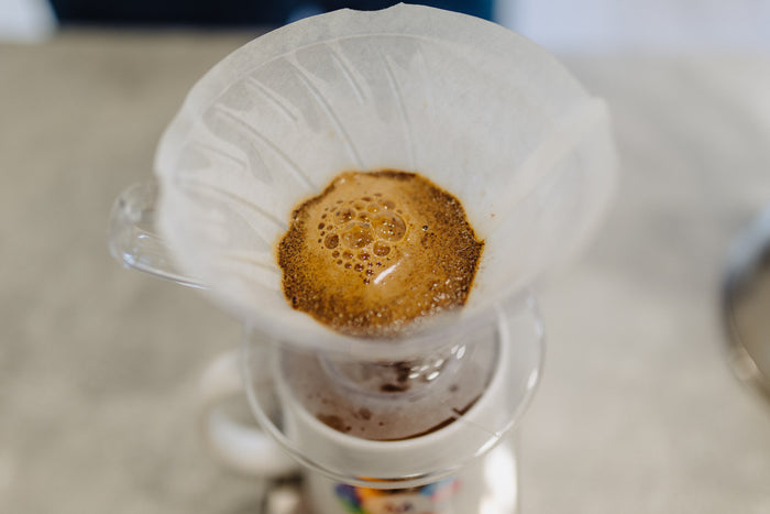 Coffee blooming in the V60 after the first pour