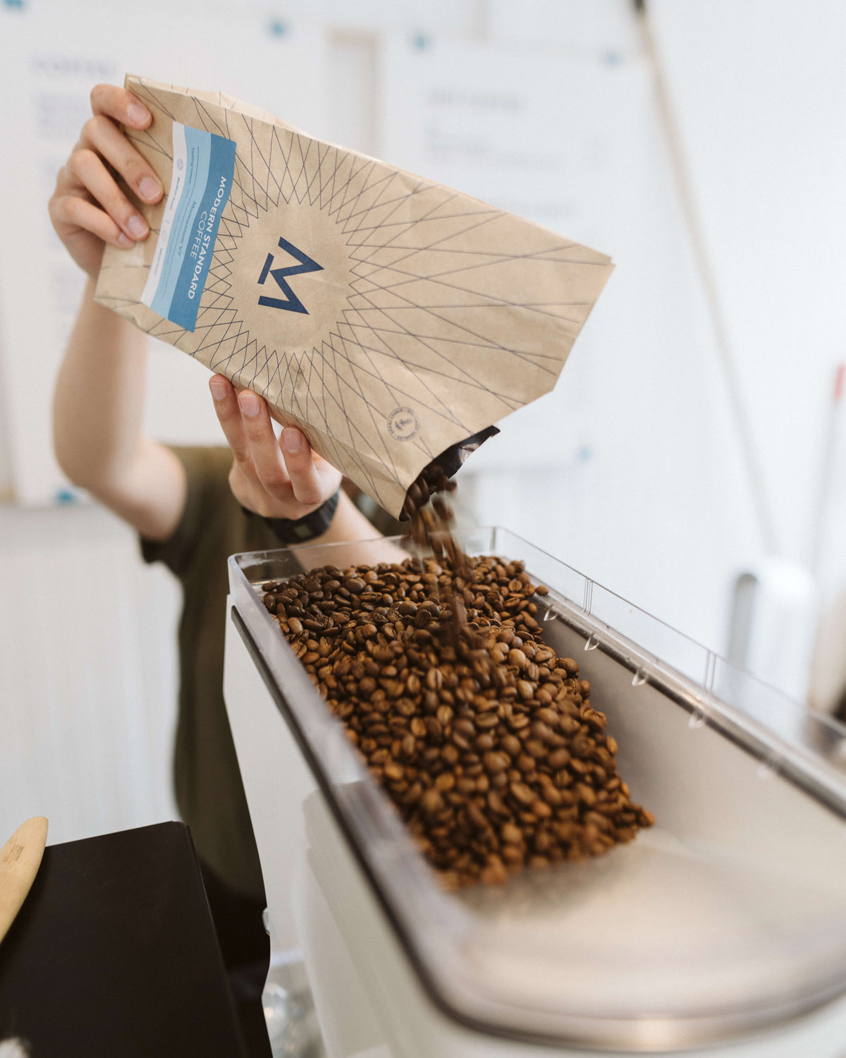 Freshly roasted coffee beans being poured into a Modern Standard Coffee bag