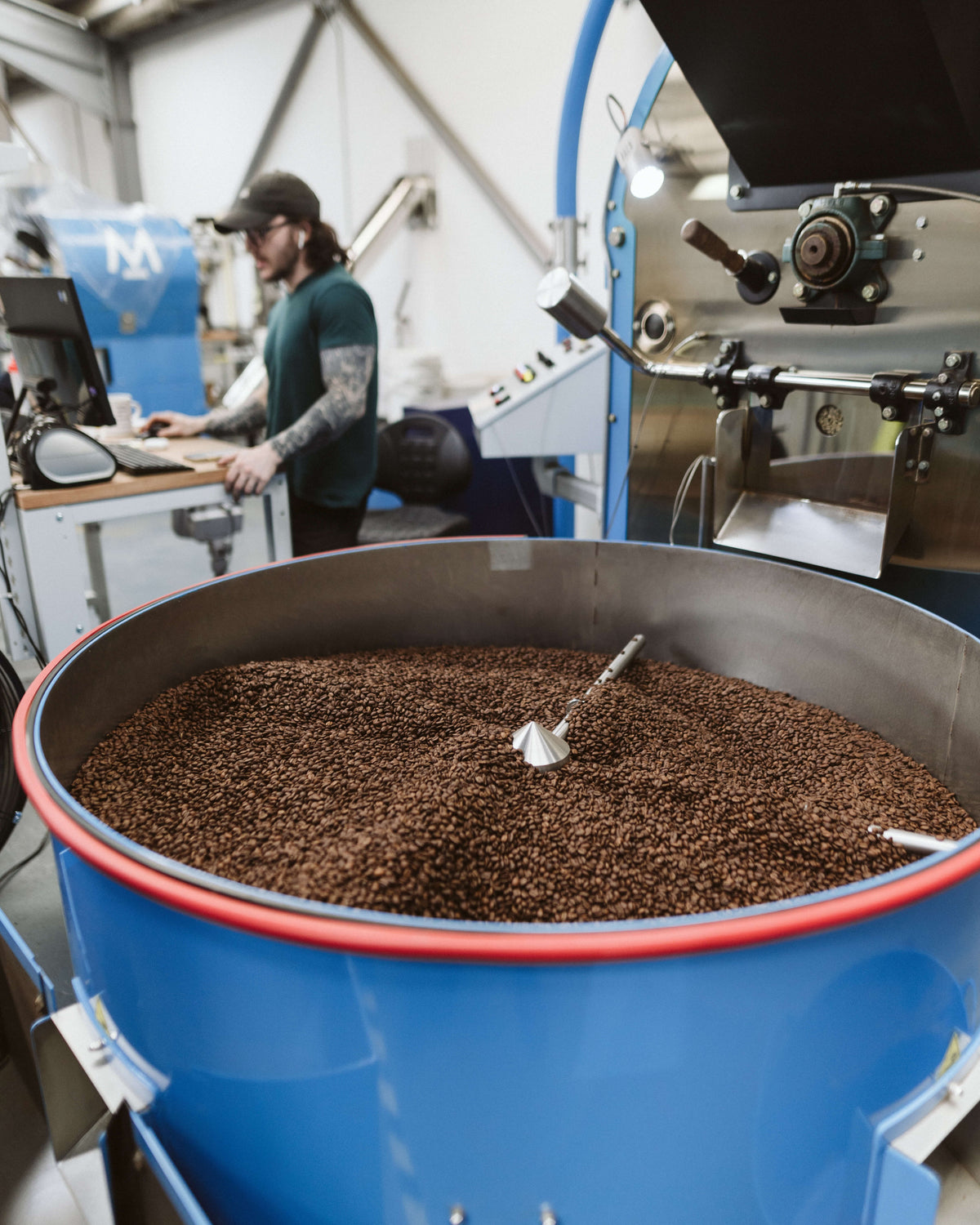 Freshly roasted coffee turning in the drum at Modern Standard's Glenrothes roastery in Fife