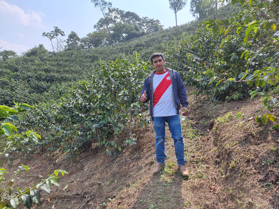 A coffee producer standing among coffee trees on a hillside farm in Peru