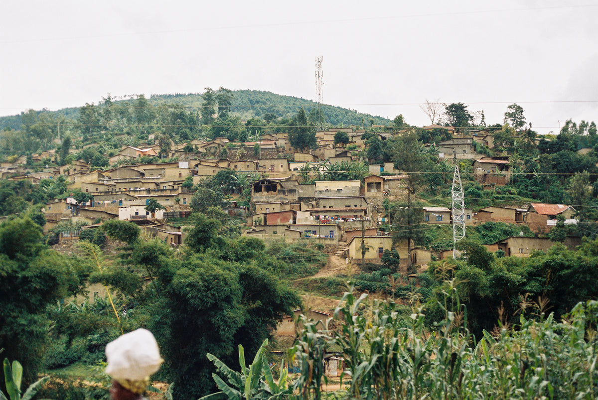 A hillside town of brick houses among trees and banana plants