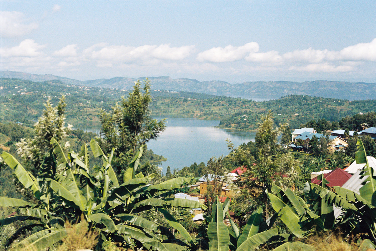 Banana plants on a hillside above a lake, with green hills and scattered houses beyond