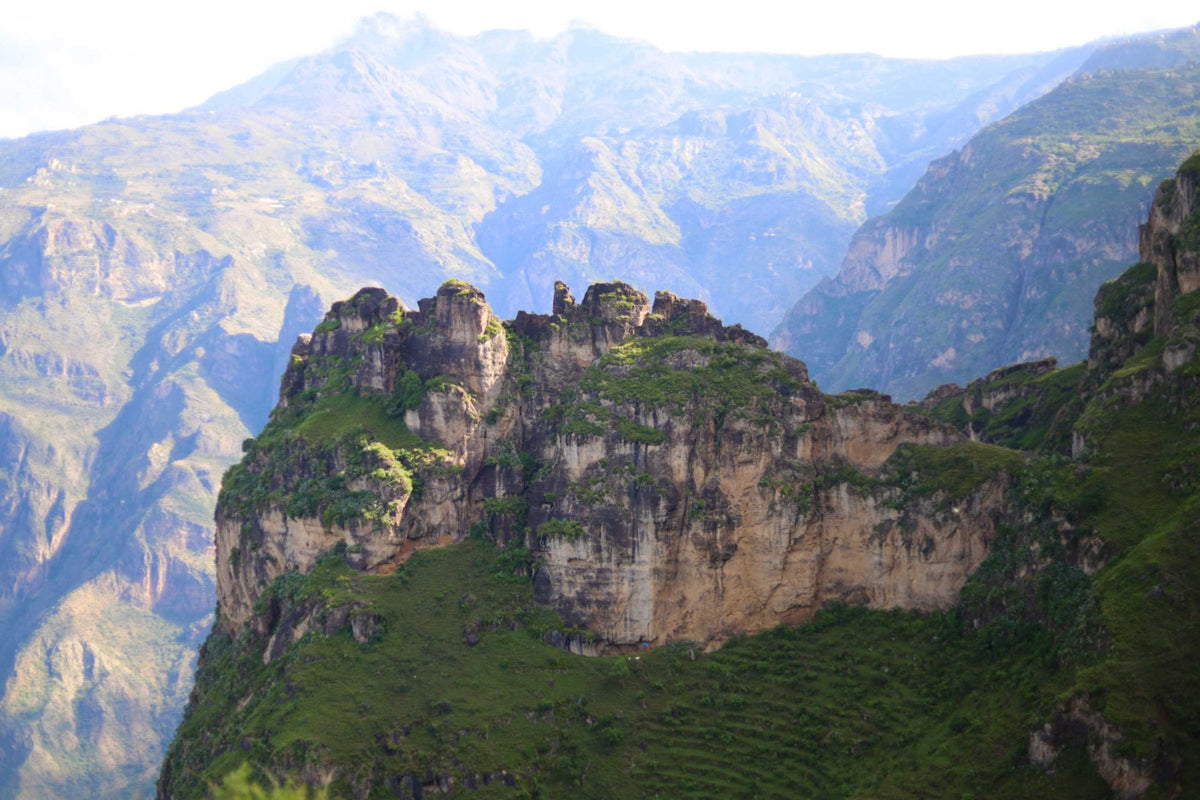 Steep green mountains above a coffee-growing valley in Yemen