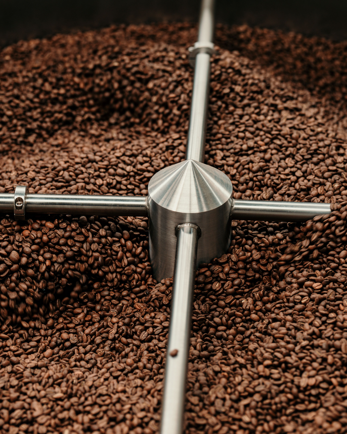 Freshly roasted coffee beans in the roaster's cooling tray